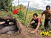 Hunters Fierce Confrontation With 3 Giant Black Cobras